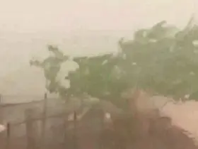 İpsala’da dolu ve sağanak yağış etkili oldu
