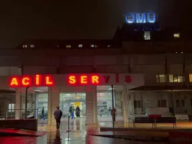 İş arkadaşını bıçaklayarak öldürdü
