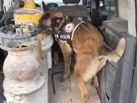 İş makinesi içerisinde uyuşturucu ele geçirildi: 1 tutuklama
