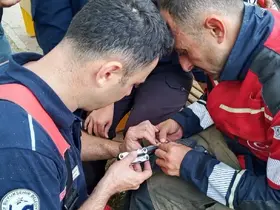 İskenderun’da ağaca takılan güvercin itfaiye ekiplerince kurtarıldı
