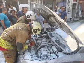 İskenderun’da otomobil alevlere teslim oldu
