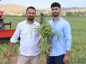 İspanyollar organik sarımsağını Aksaray’da üretecek
