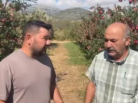 Isparta’da bir gecede 4 bin 200 ton elma doluya teslim oldu, zarar 170 milyon TL
