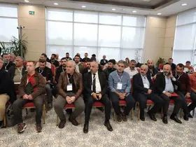 İstanbul’da 3’üncü taksi ihalesi: 63 plaka daha satıldı
