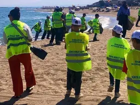 İsveç’te başlayan akım Karasu’ya ulaştı
