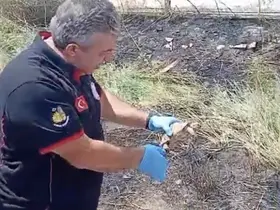 İtfaiye ekipleri yangından kurtardıkları kaplumbağayı suyla serinletti
