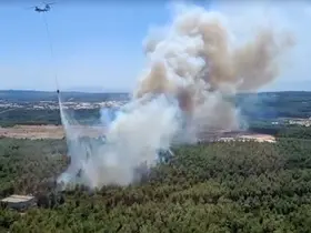 İzmir Buca’da orman yangını çıktı
