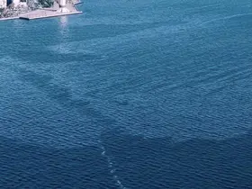 İzmir Körfezi’nde çevre kirliliği
