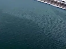 İzmir Körfezi’nde kirlilik alarmı: Aynı tehdit 11. kez görüldü
