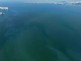 İzmir Körfezi’nde yine dış kaynaklı kirlilik alarmı
