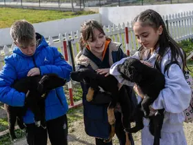 İzmir’de 2 bin 300 patili yuva bekliyor
