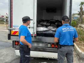 İzmir’de kaçak avlanan 3 ton mavi yüzgeçli orkinos ele geçirildi

