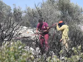İzmir’de ormanlık alanda çıkan yangın erken müdahaleyle kontrol altında
