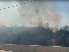 İzmir’de ormanlık alanda yangın, fabrikalar tahliye edildi
