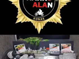 İzmir’de seraya çevirdiği evde kenevir yetiştiren şahıs tutuklandı
