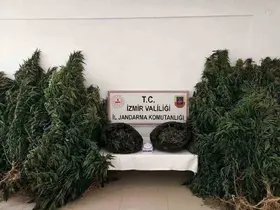 İzmir’de zehir tacirlerine ’drone’ destekli operasyon: 13,4 kilo esrar ele geçirildi
