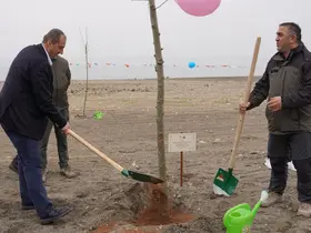 İznik’te fidanlar toprakla buluştu
