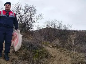 Jandarma ekipleri doğadaki canlıları unutmadı
