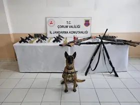Jandarmadan 'düğün magandaları'na operasyon: 11 gözaltı