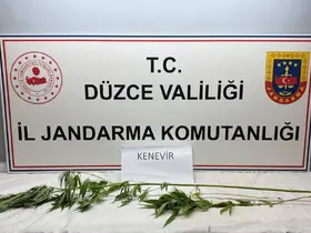 Jandarma’dan uyuşturucu operasyonu
