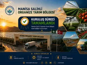Jeotermal seracılıkta Manisa atağa geçti
