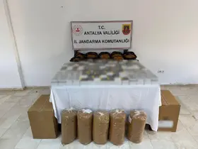 Kaçak tütün operasyonu