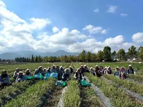 Kadın eliyle tarladan markaya: Emeğin hasadı

