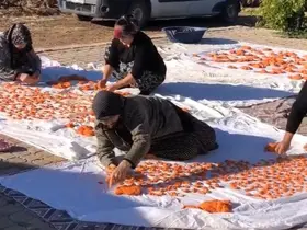 Kadınlar imece usulü ile tarhana döktü
