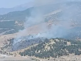 Kahramanmaraş’ta orman yangını