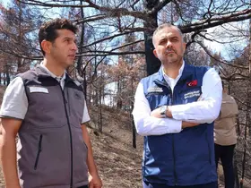 Kahramanmaraş’ta  yanan ormanlık alanlar fidanlarla buluşturulacak
