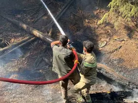 Kahramanmaraş’taki orman yangını kontrol altına alındı

