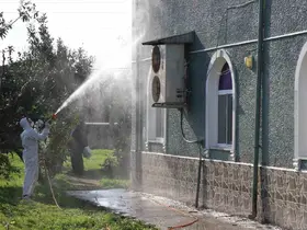 Kahverengi kokarca ile mücadele: 850 hane, 23 kamu alanı ve 623 ahır ilaçlandı
