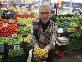 Kalp dostu ’alıç’ meyvesi tezgâhlardaki yerini aldı
