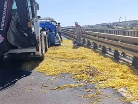 Kamyonet bariyerlere çarptı, kilolarca patates yola saçıldı
