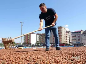 Kamyonetini 1 ton fındık karşılığında sattı
