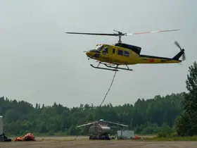 Kanada’nın Ontario eyaletindeki orman yangınlarında 735 bin hektarlık alan kül oldu
