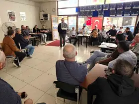 Kanaryalar satışa çıktı
