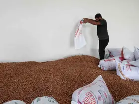 Kandıra’daki yeni depolama merkezi fındık üreticilerine TMO kolaylığı sağlıyor
