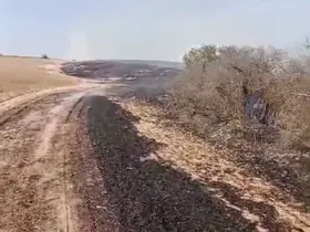 Kapaklı’da çıkan yangında 8 dönüm arazi kül oldu
