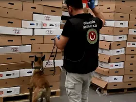Kapıkule’de tavuk kolilerinden uyuşturucu çıktı: 526 kilo esrar ele geçirildi
