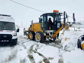 Kar doğuyu esir aldı
