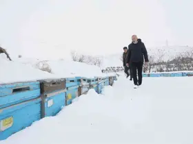 Kar yağışı, koloni kayıplarını ve hastalıkları minimuma indirdi: Arıcılar sezonundan ümitli
