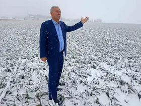 Kar yağışı sarımsak üreticisinin yüzünü güldürecek
