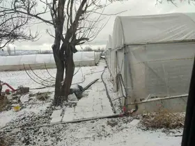 Kar yağışı sebebiyle seralar buz tuttu
