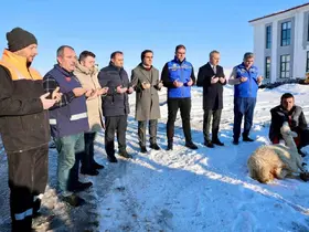 ‘Kar zahmet değil rahmet’ dediler, şükür koyunu kestiler
