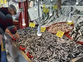 Karabük’te balık tezgahlarında hamsi bolluğu: Kilosu 100 TL’ye kadar düştü
