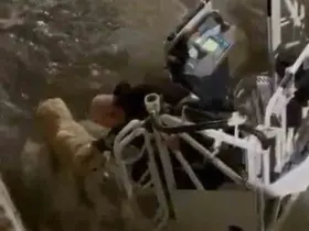 Karabük’te su kanalına düşen köpeği itfaiye kurtardı
