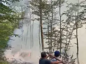 Karacabey’de orman yangını
