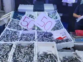 Karadeniz hamsisi tezgahları doldurdu: Kilosu 50 lira
