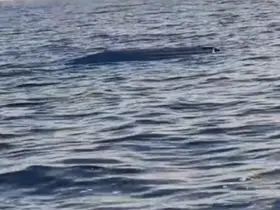Karadeniz kıyılarında bir insansız deniz aracı şüphesi daha
